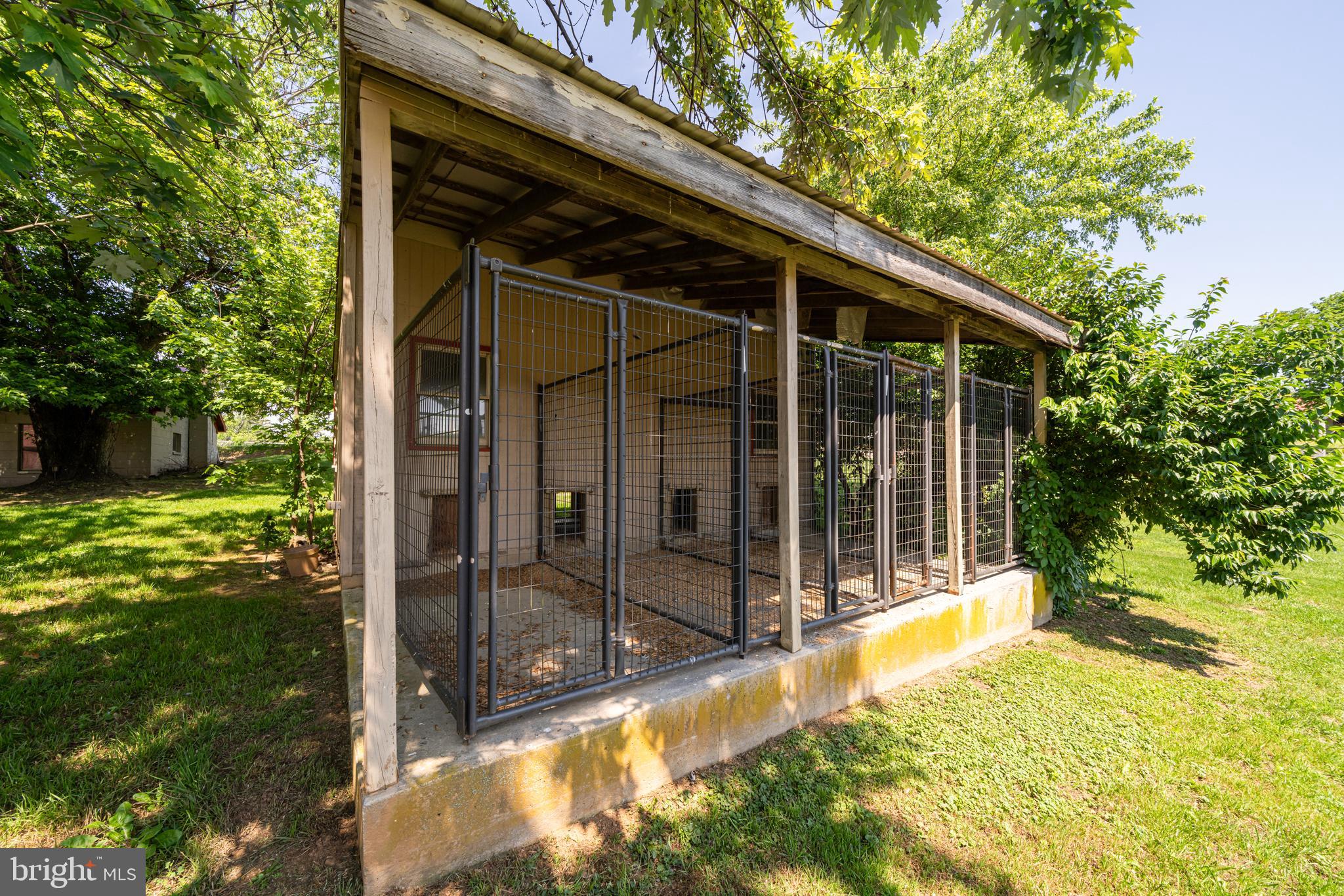 3637 Millwood Road Boyce, VA 22620 - Photo 27 of 62 a view of a backyard with a small cabin