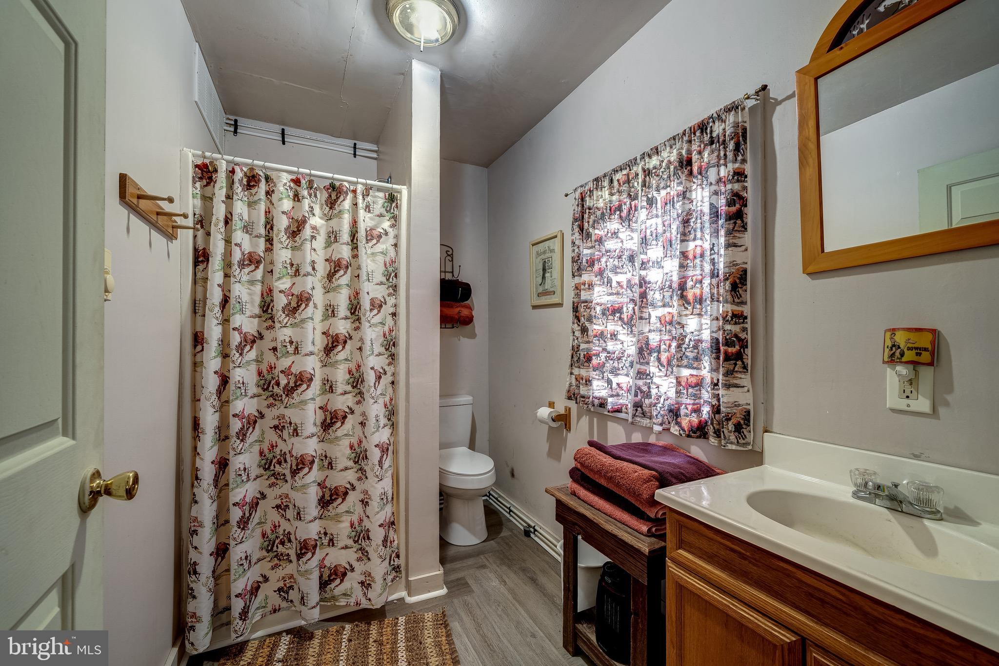3637 Millwood Road Boyce, VA 22620 - Photo 60 of 62 a bathroom with a sink toilet and shower