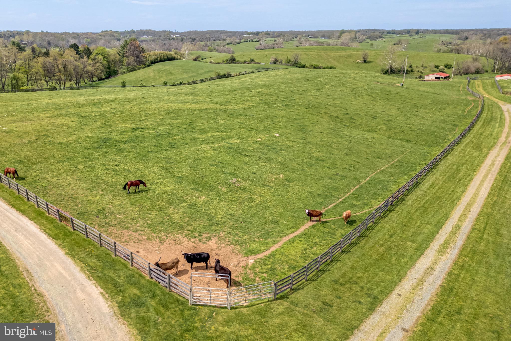 3637 Millwood Road Boyce, VA 22620 - Photo 8 of 62