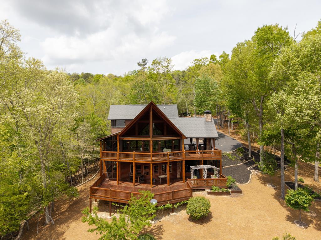 339 Birdseye View Blue Ridge, GA 30513 - Photo 2 of 69