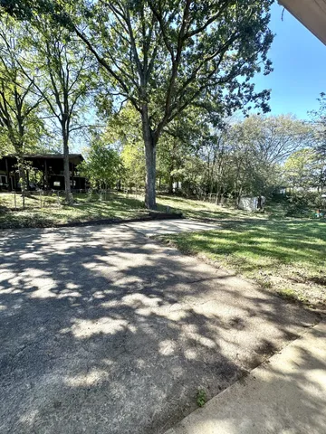 a big yard with trees