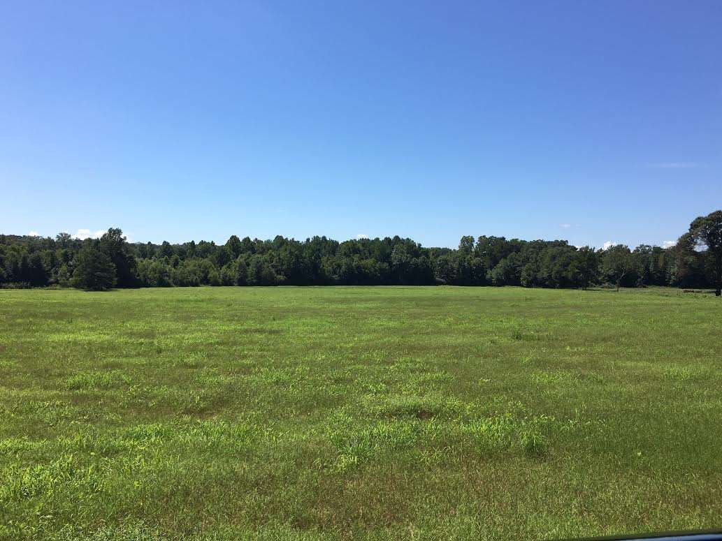 0 Massey Road Kosciusko, MS 39090 - Photo 6 of 13 Photo 6