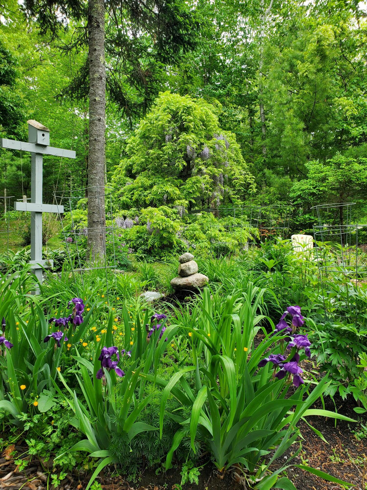 36 Granite Hill Road Pemaquid, ME 04558 - Photo 88 of 134 landscape3