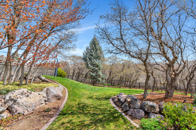811 South High Ridge Drive Alpine, UT 84004 - Photo 79 of 98 View of yard