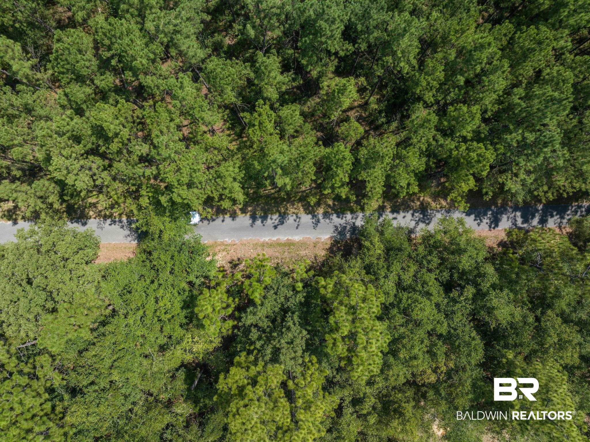 0 Old Hubbard Road Bay Minette, AL 36507 - Photo 4 of 7