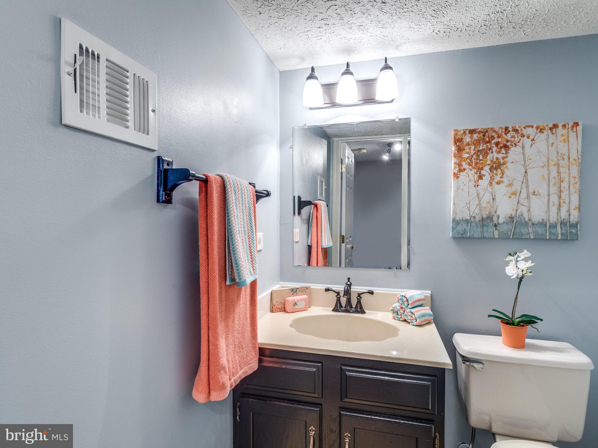 1954 Belmont Ridge Court Reston, VA 20191 - Photo 20 of 23 Basement bathroom, Venetian Bronze fixtures