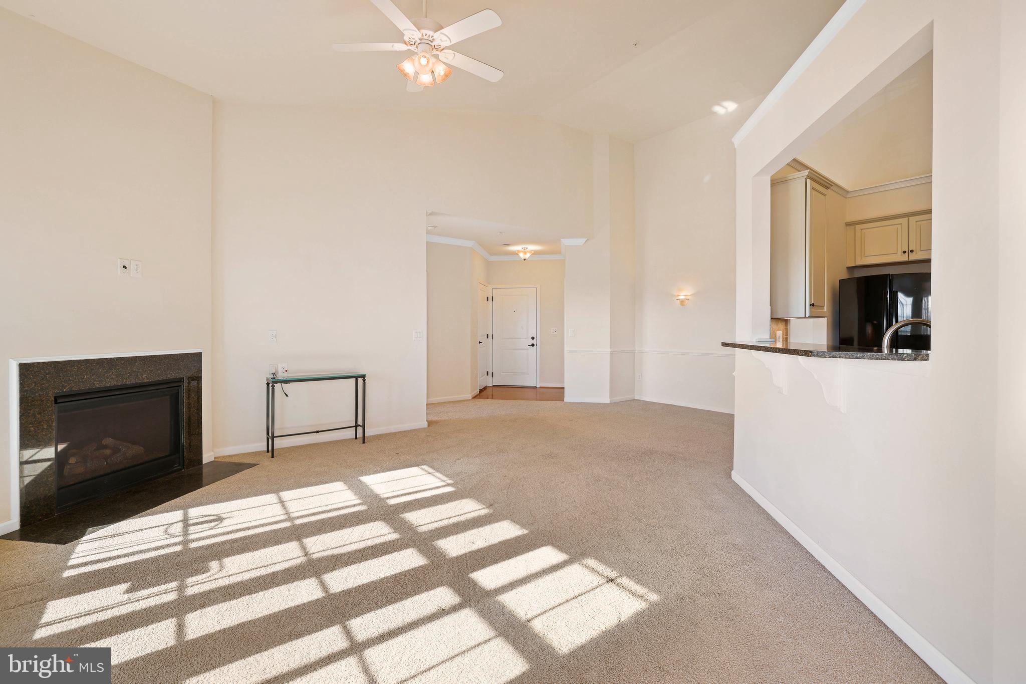 8380 Ice Crystal Drive, Unit R Laurel, MD 20723 - Photo 10 of 47 Gas fireplace for chilly winter nights.
