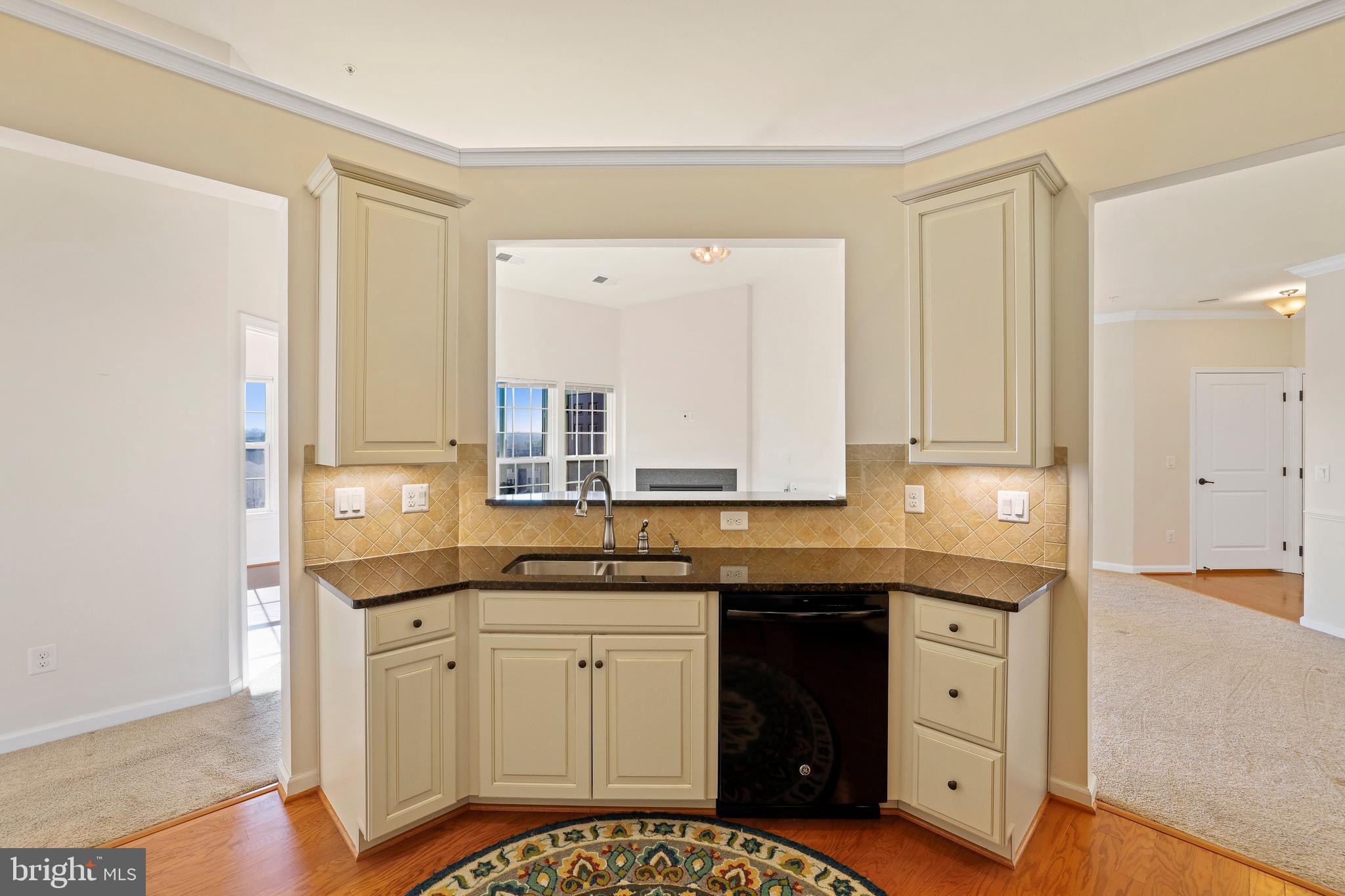 8380 Ice Crystal Drive, Unit R Laurel, MD 20723 - Photo 13 of 47 Granite counters, abundant cabinets.