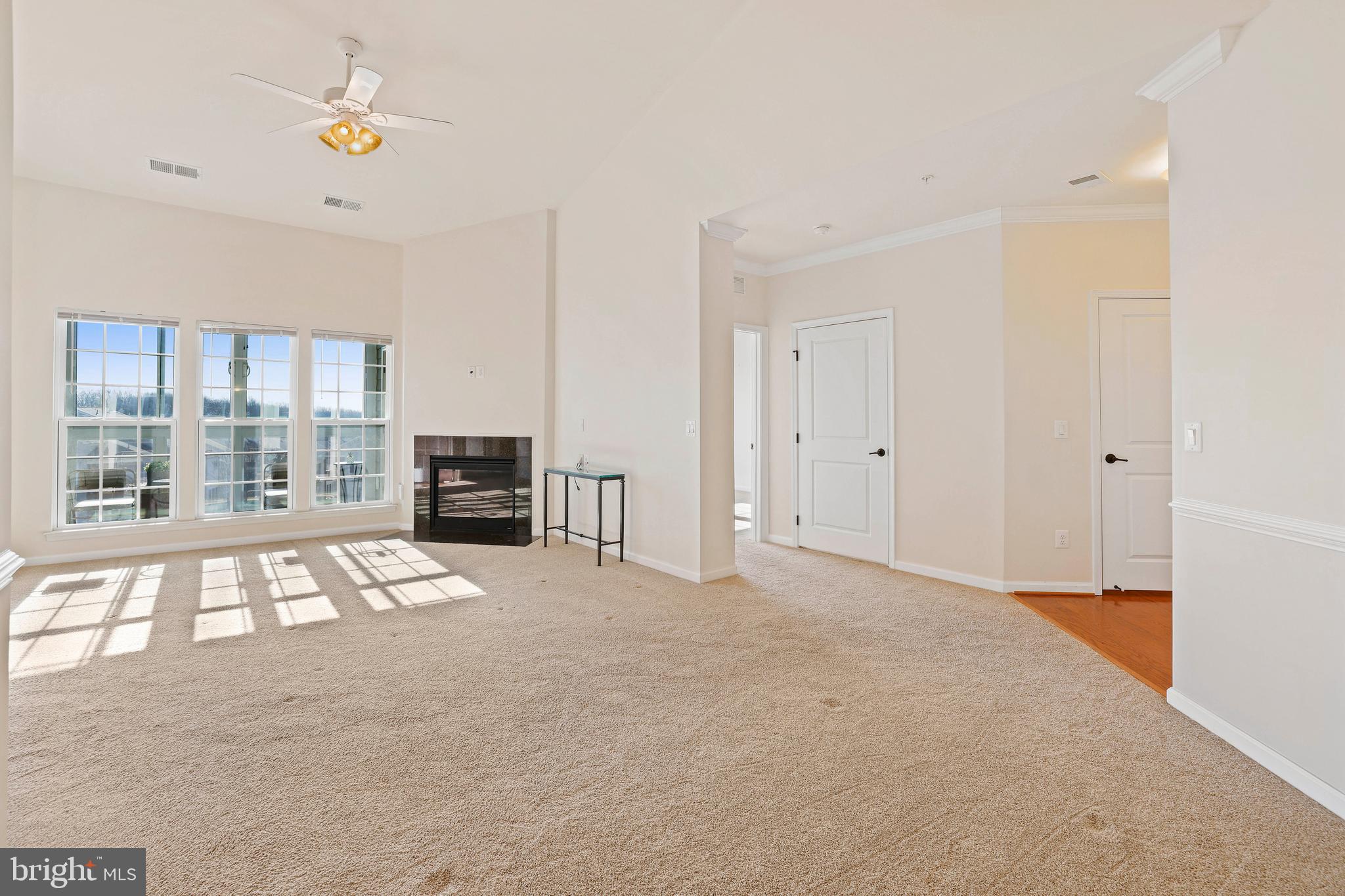 8380 Ice Crystal Drive, Unit R Laurel, MD 20723 - Photo 6 of 47 Neutral paint and crown molding.