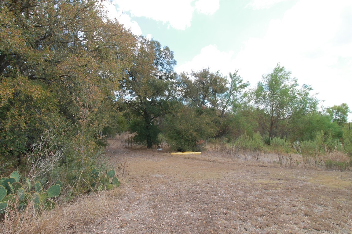 1875 County Road 466 Elgin, TX 78621 - Photo 5 of 11 a view of a forest with trees in the background