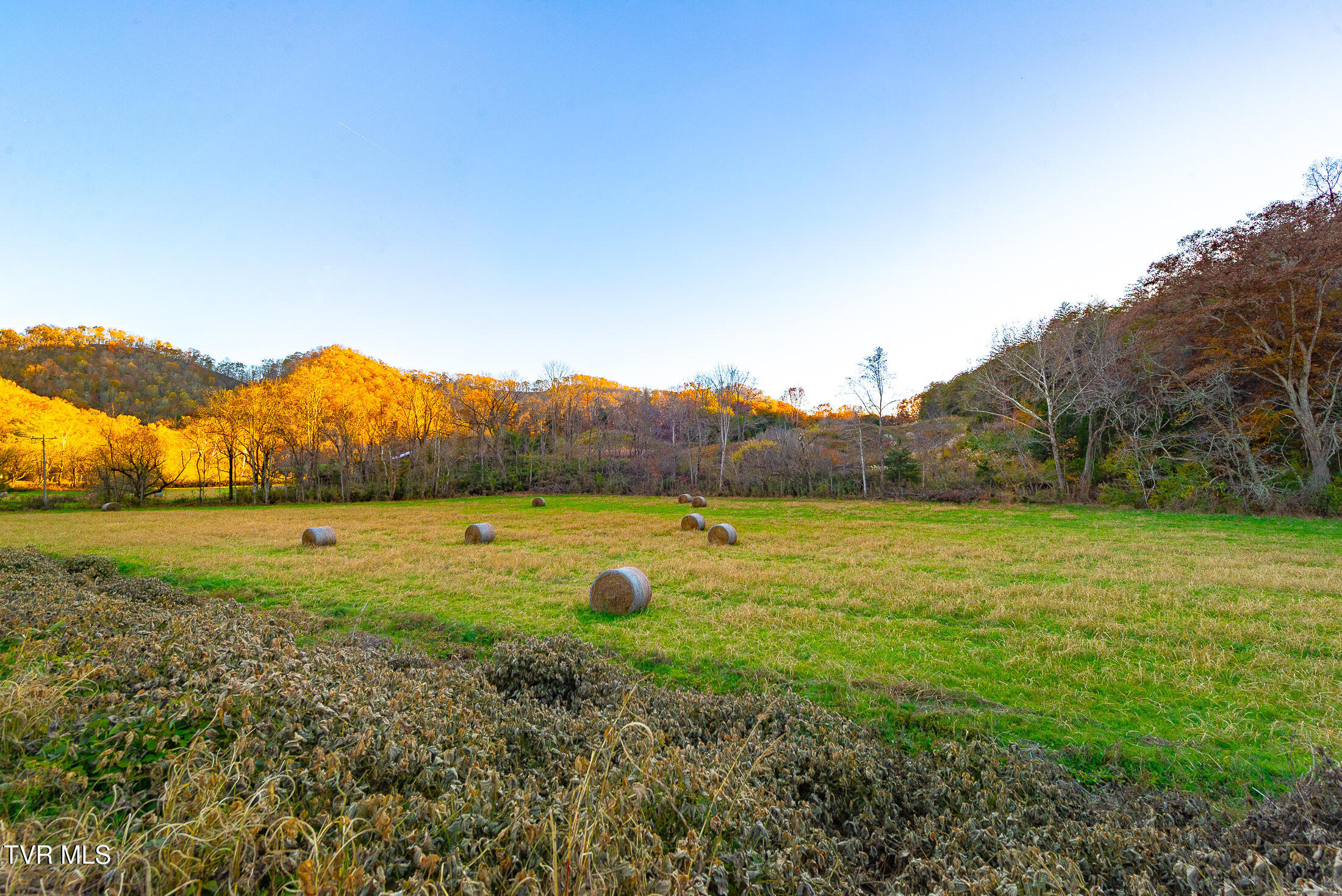 0 Flower Gap Road Blackwater, VA 24221 - Photo 1 of 11 acreage