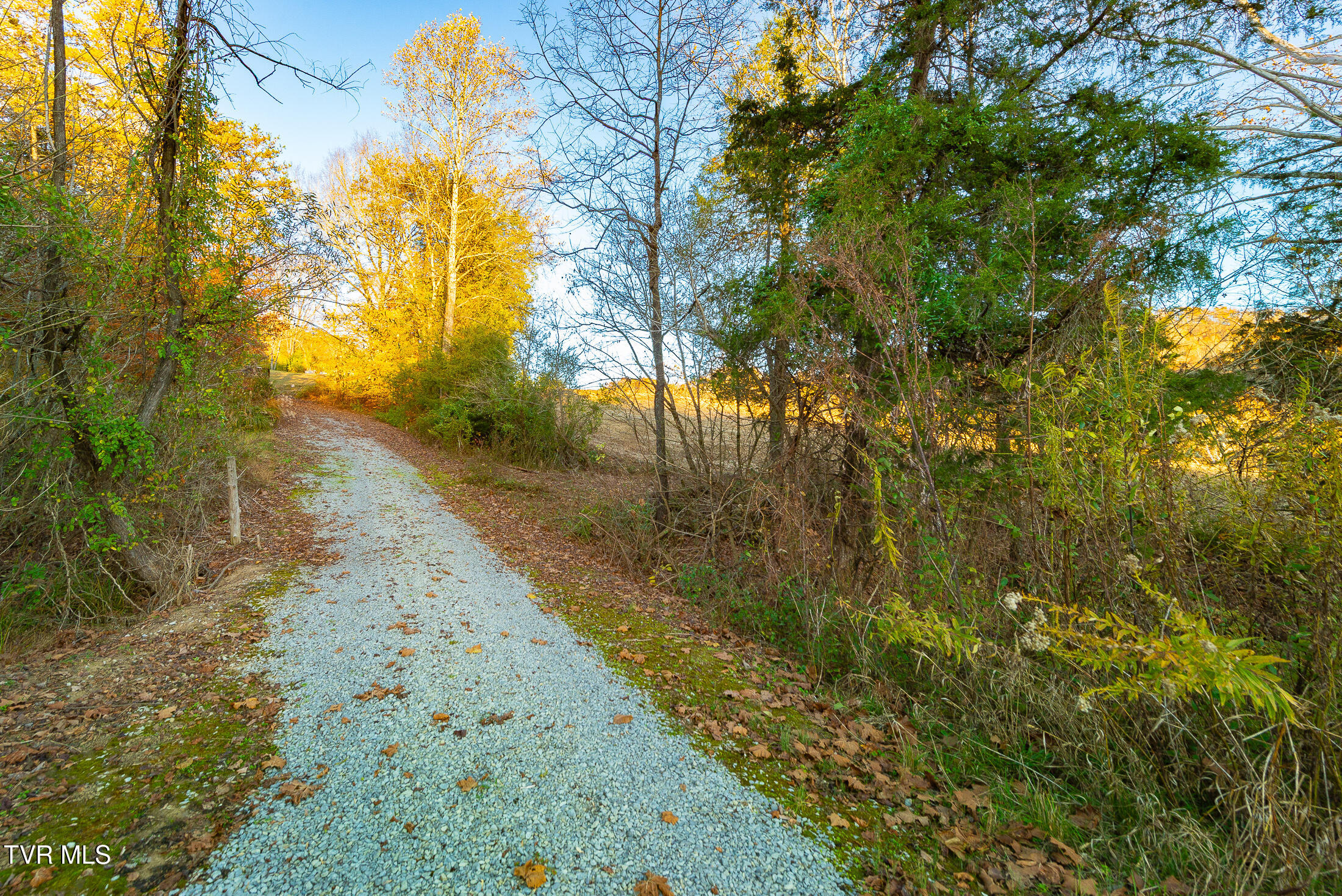 0 Flower Gap Road Blackwater, VA 24221 - Photo 2 of 11 acreage