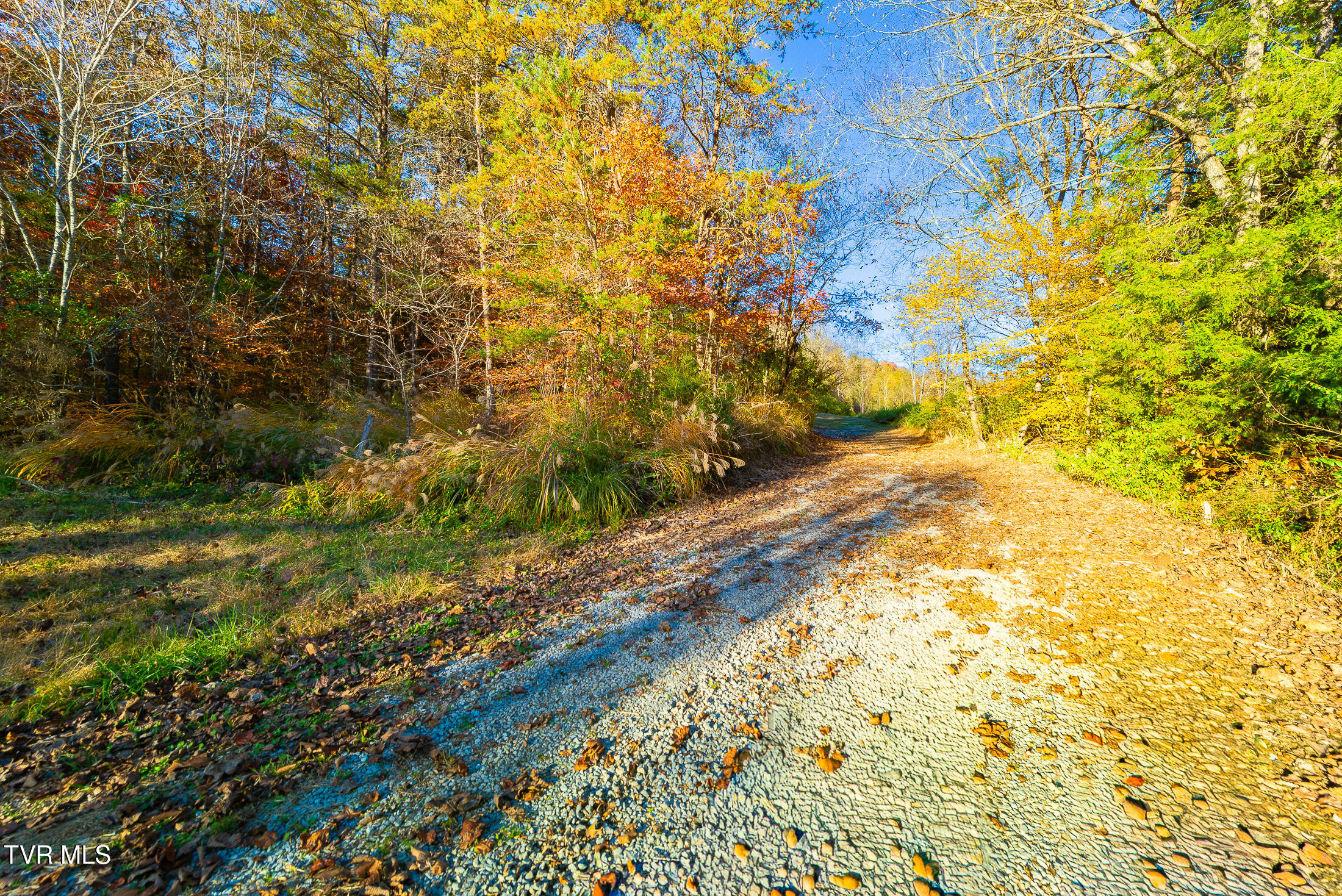 0 Flower Gap Road Blackwater, VA 24221 - Photo 4 of 11 acreage