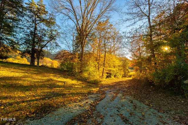 $249,000 | 0 Flower Gap Road, Blackwater, VA 24221