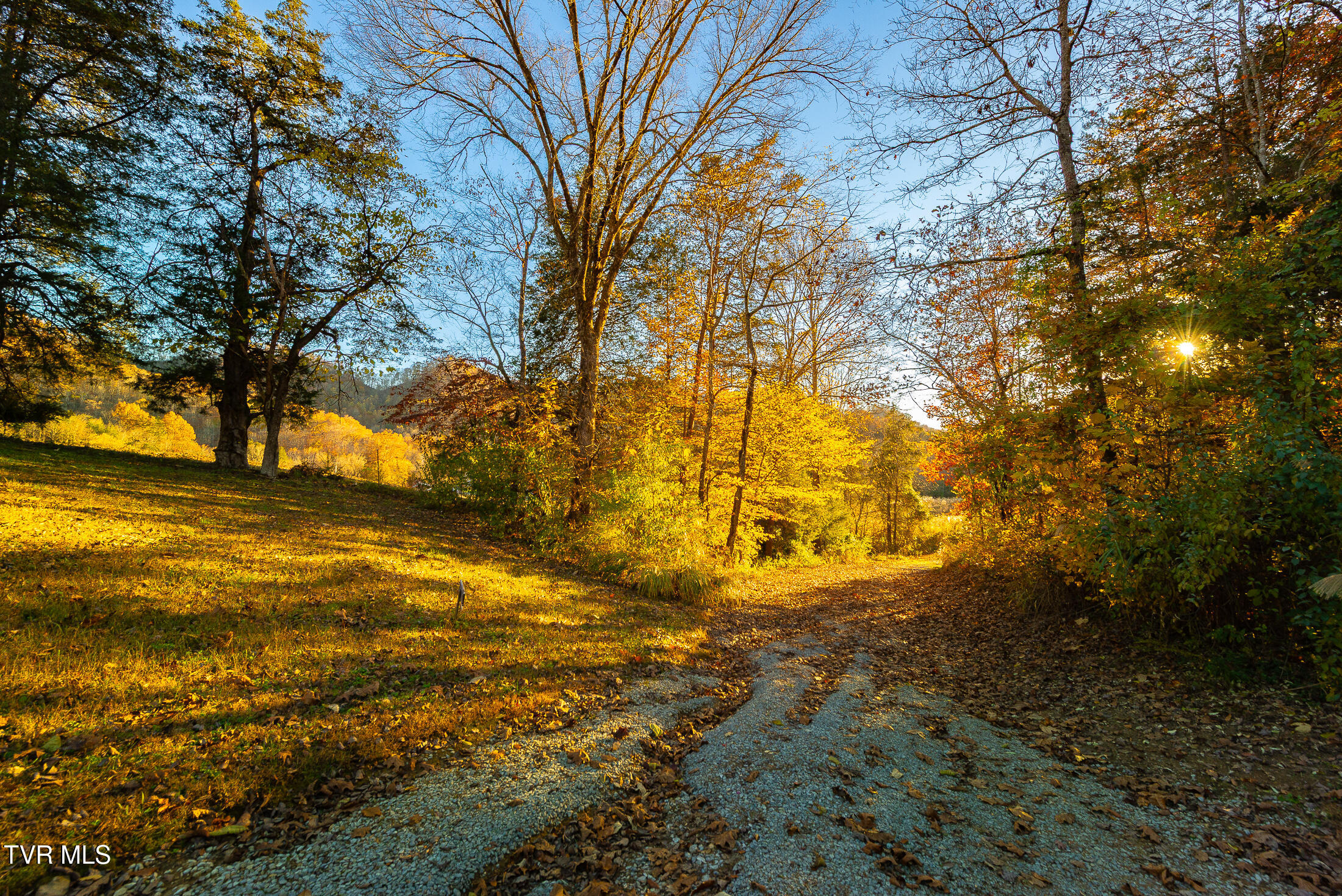 0 Flower Gap Road Blackwater, VA 24221 - Photo 5 of 11 acreage