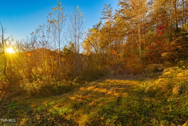 $249,000 | 0 Flower Gap Road, Blackwater, VA 24221