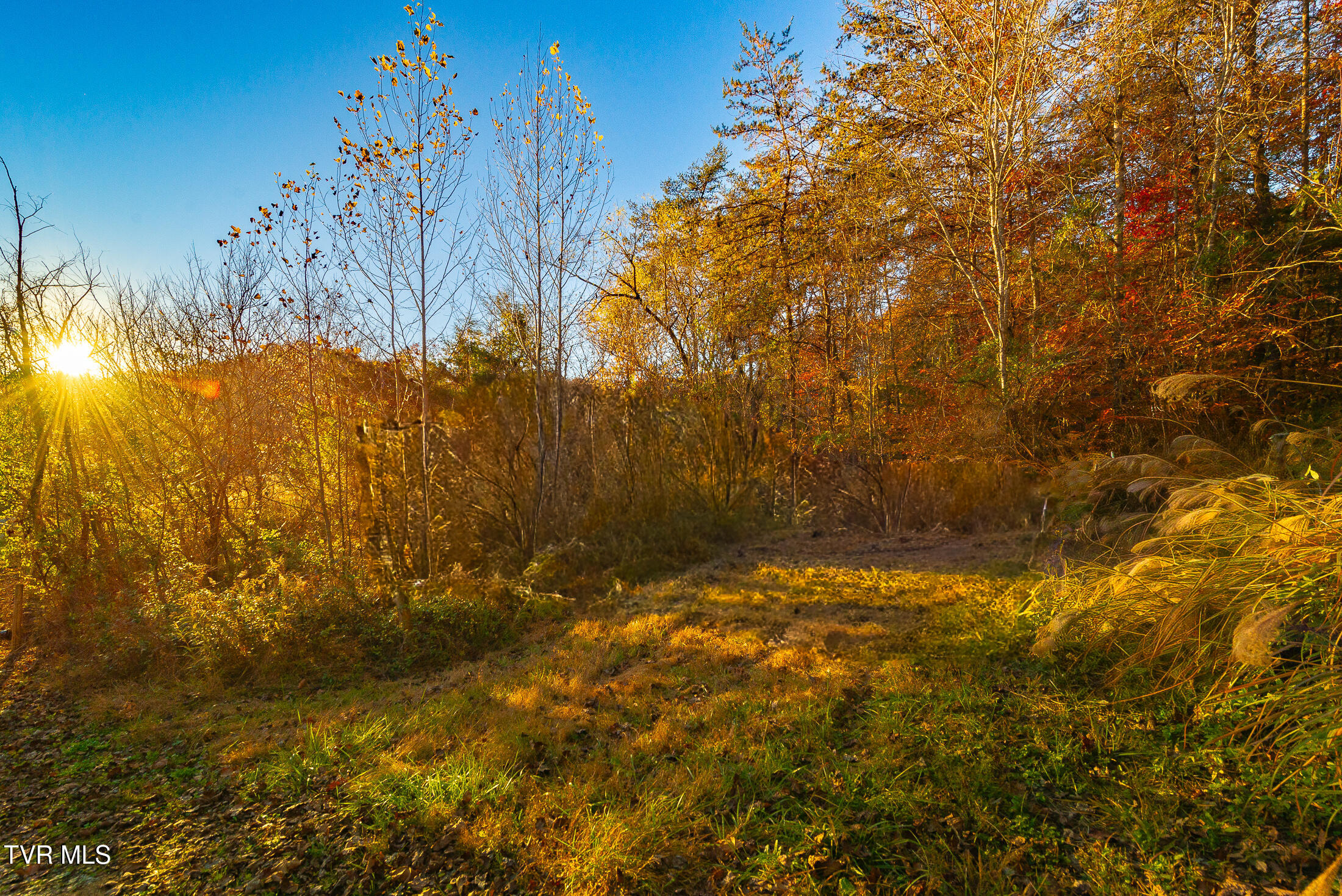 0 Flower Gap Road Blackwater, VA 24221 - Photo 6 of 11 acreage