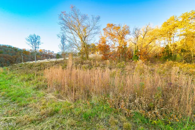 $249,000 | 0 Flower Gap Road, Blackwater, VA 24221