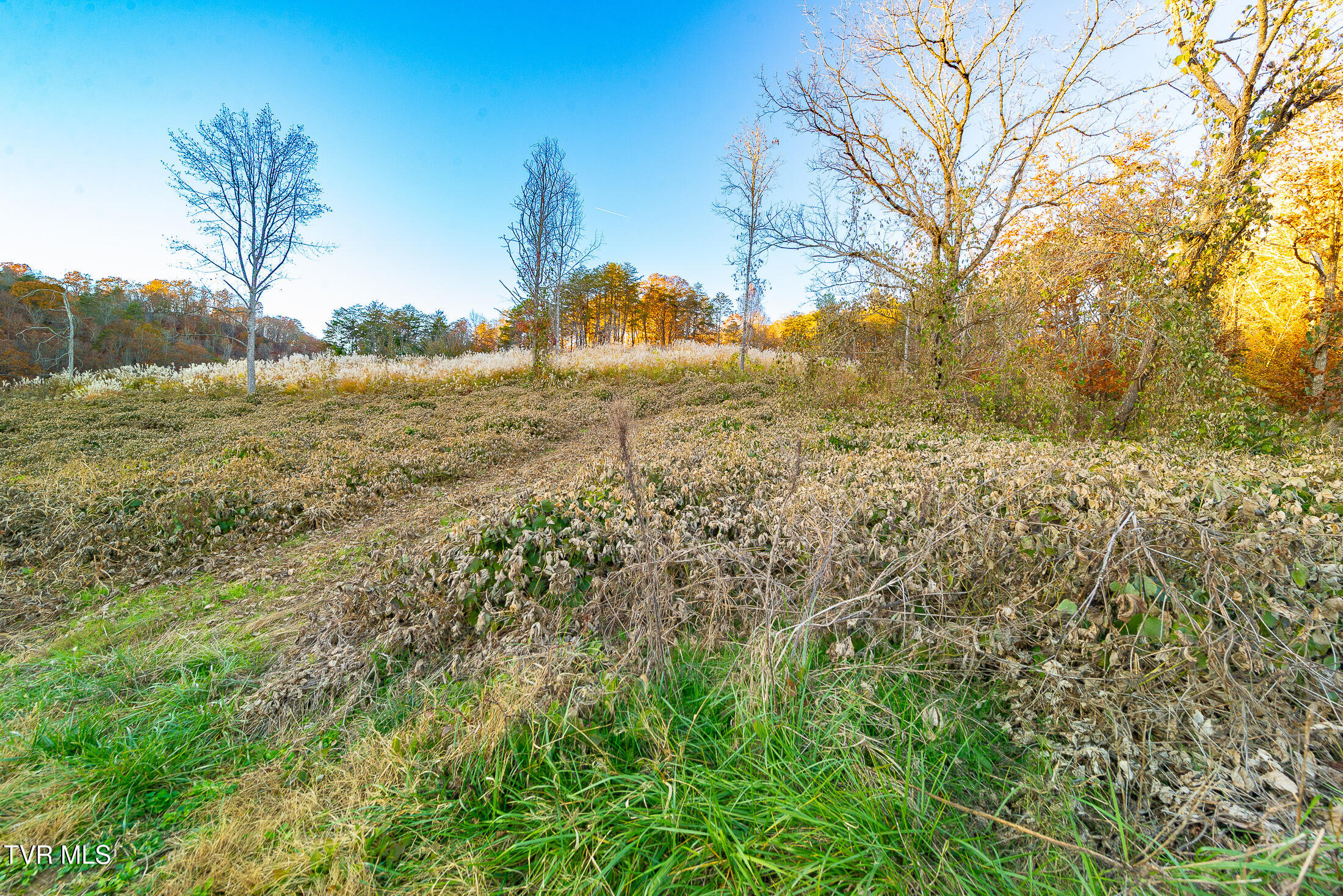 0 Flower Gap Road Blackwater, VA 24221 - Photo 8 of 11 acreage