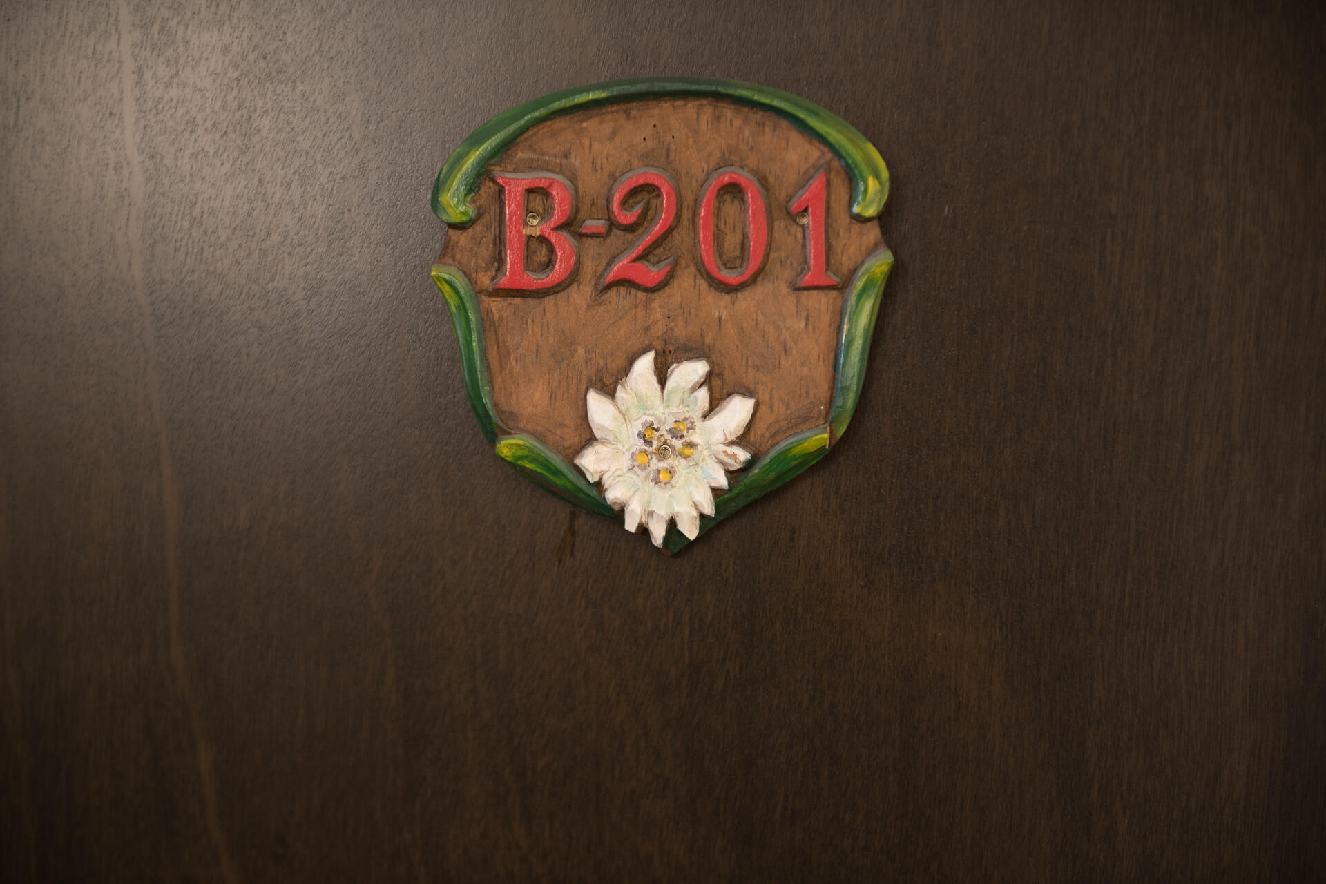 202 Picabo Street, Unit 201B Ketchum, ID 83340 - Photo 15 of 15 The Door