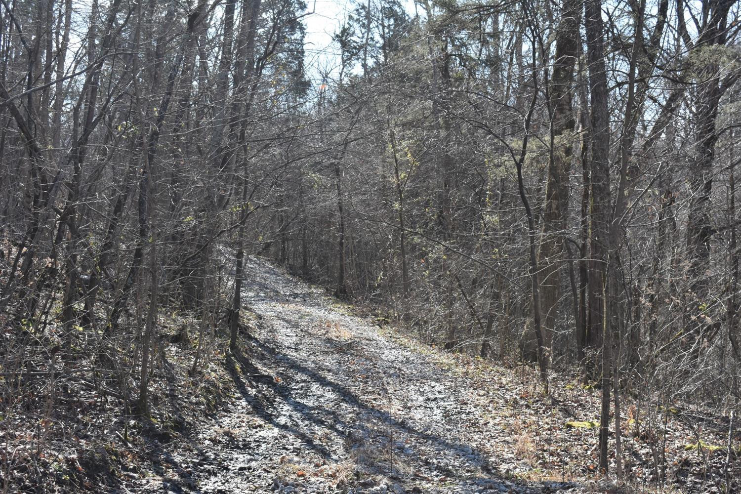 0 Brock Road Paint Lick, KY 40461 - Photo 7 of 21 Photo 7