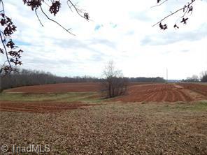 0 Highway 21 State Road, NC 28676 - Photo 2 of 2