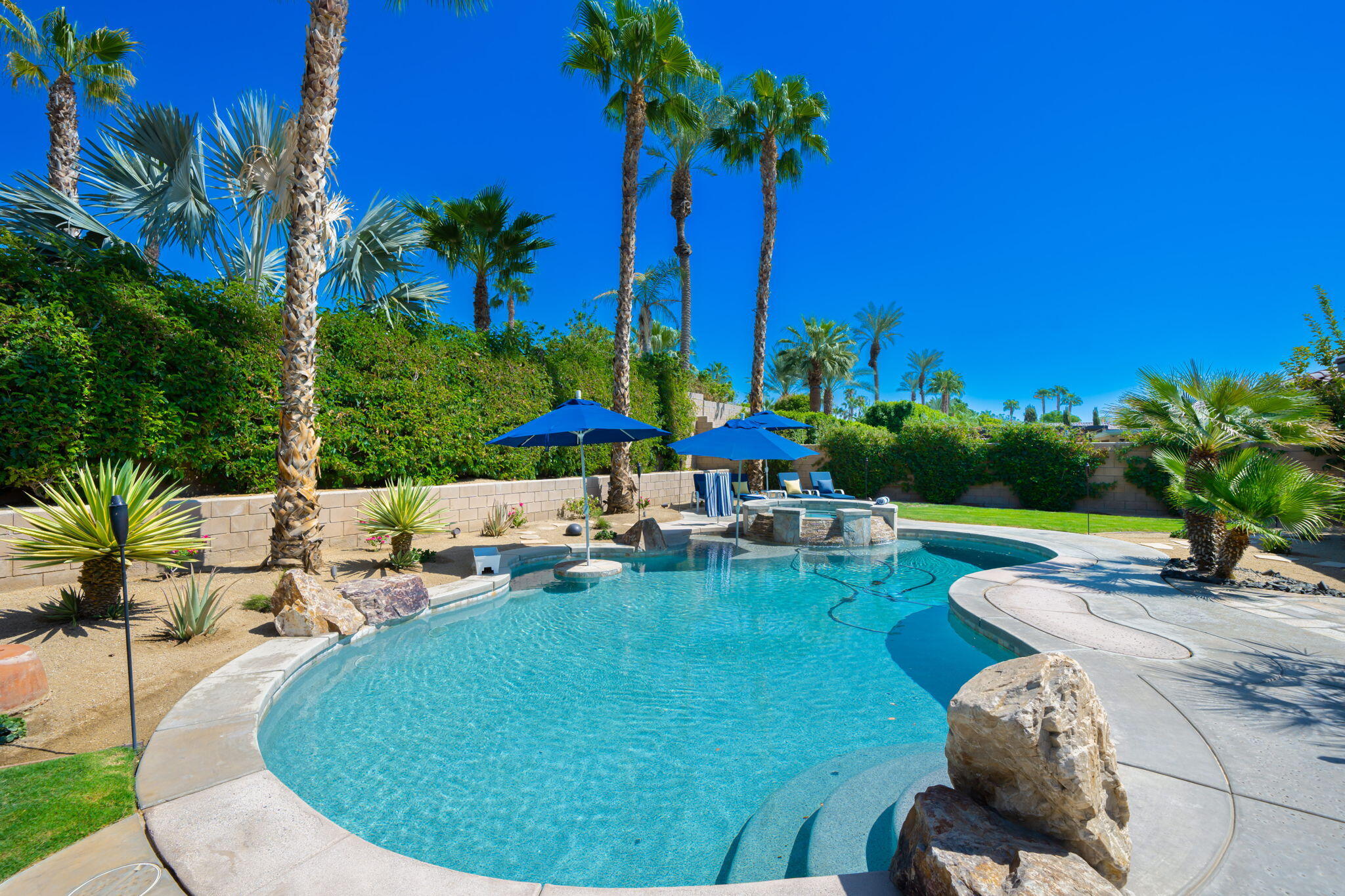80676 Plum Lane Indio, CA 92201 - Photo 8 of 26 a view of a swimming pool with lawn chairs under an umbrella