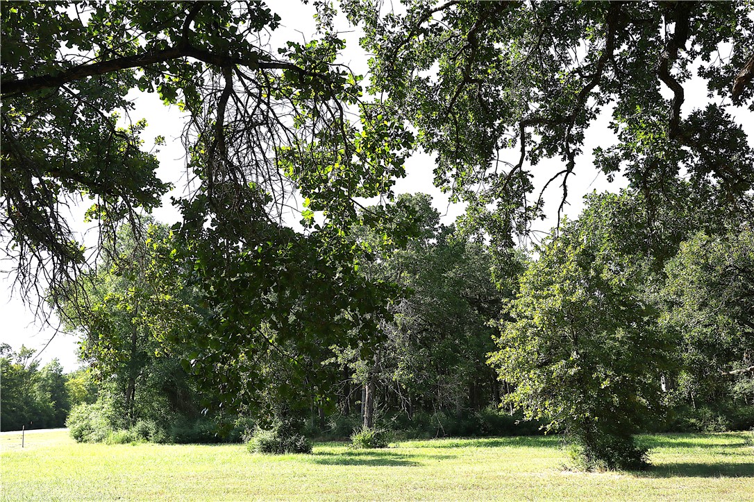 Tbd Sawmill Road Franklin, TX 77856 - Photo 12 of 15 a view of a yard