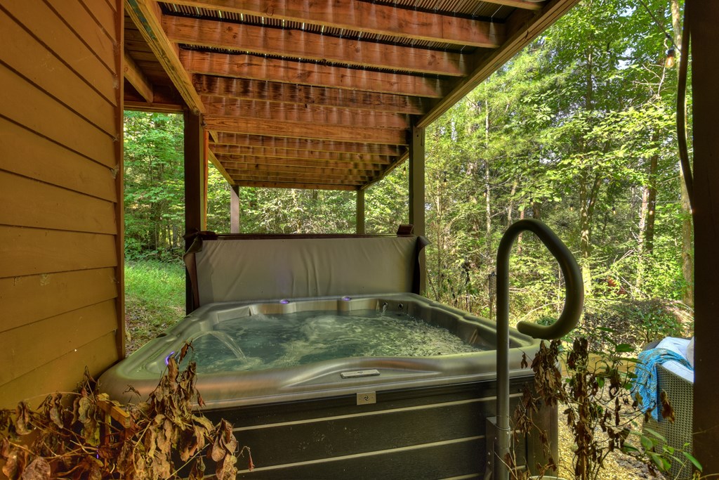 60 Icy Lane Blue Ridge, GA 30513 - Photo 13 of 44