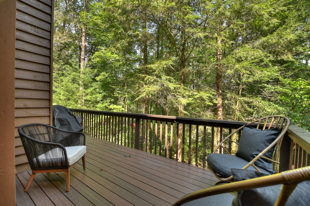 60 Icy Lane Blue Ridge, GA 30513 - Photo 16 of 44