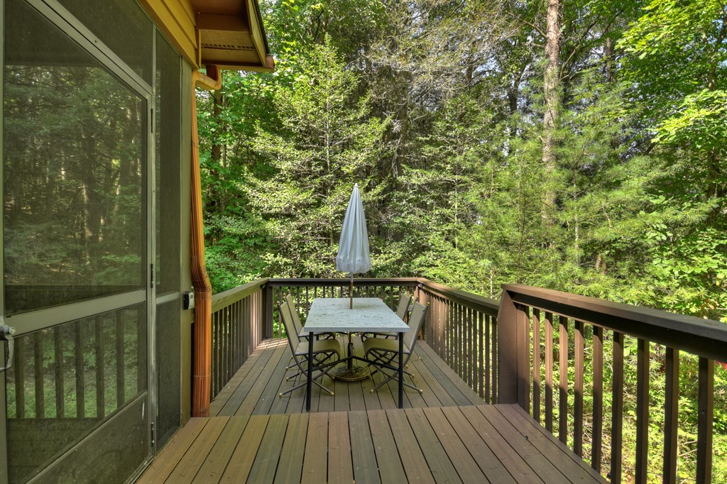 60 Icy Lane Blue Ridge, GA 30513 - Photo 17 of 44