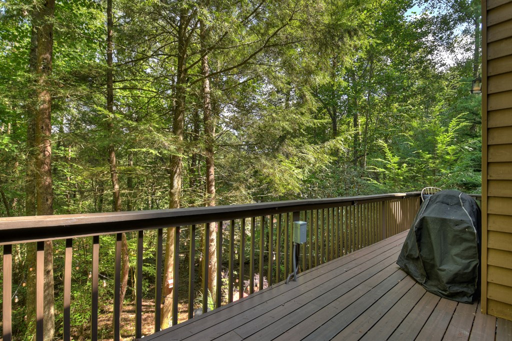 60 Icy Lane Blue Ridge, GA 30513 - Photo 18 of 44