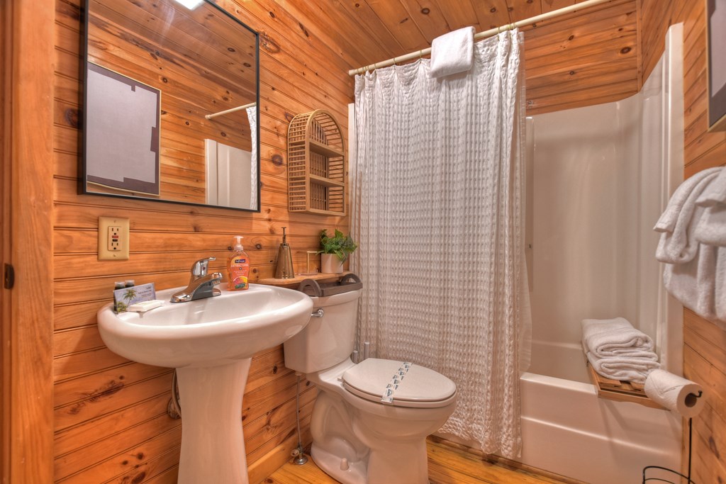 60 Icy Lane Blue Ridge, GA 30513 - Photo 25 of 44