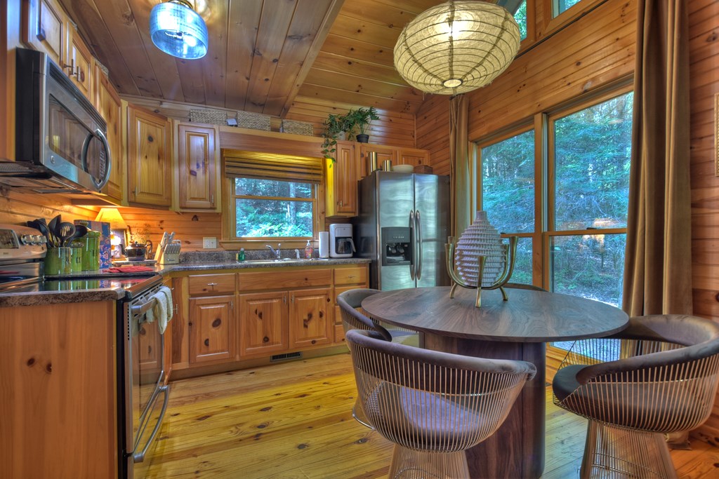 60 Icy Lane Blue Ridge, GA 30513 - Photo 3 of 44