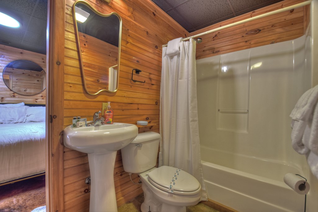 60 Icy Lane Blue Ridge, GA 30513 - Photo 33 of 44