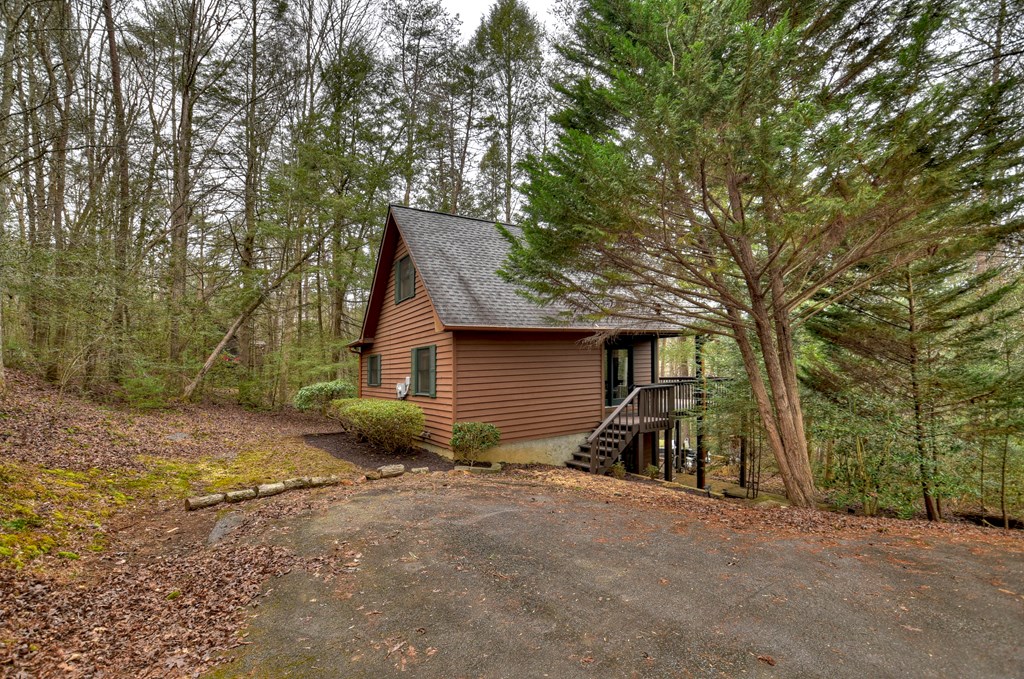 60 Icy Lane Blue Ridge, GA 30513 - Photo 34 of 44