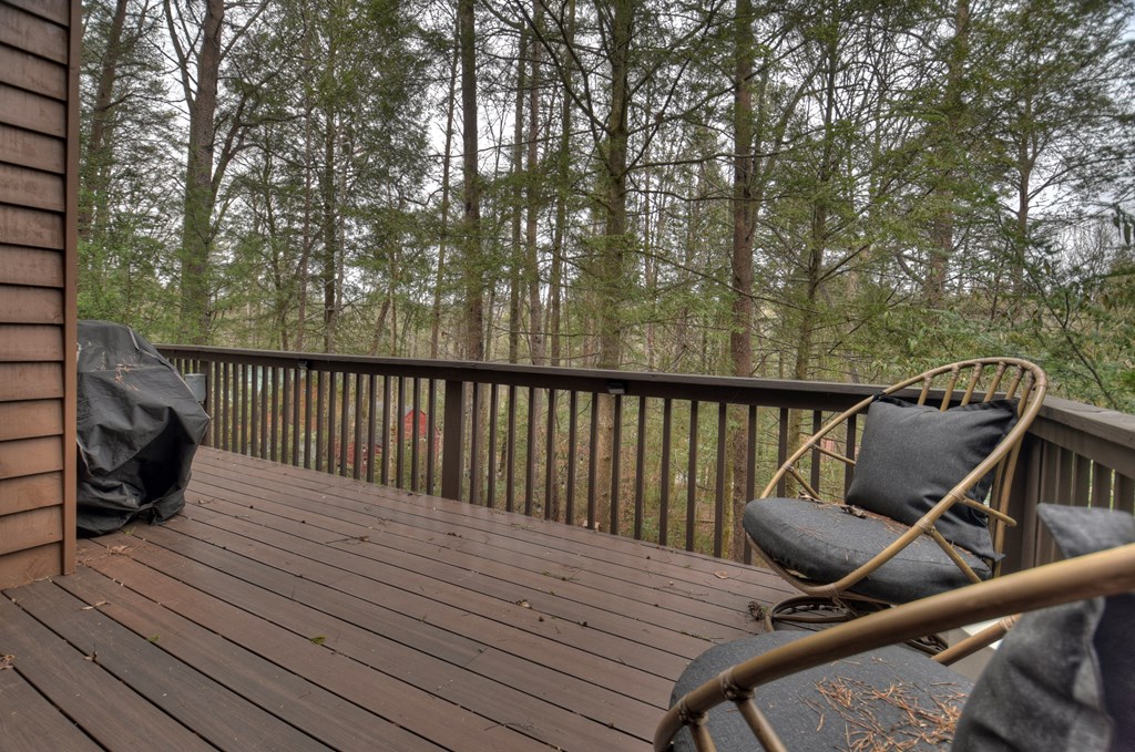 60 Icy Lane Blue Ridge, GA 30513 - Photo 40 of 44