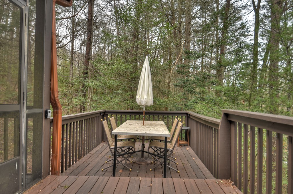 60 Icy Lane Blue Ridge, GA 30513 - Photo 41 of 44