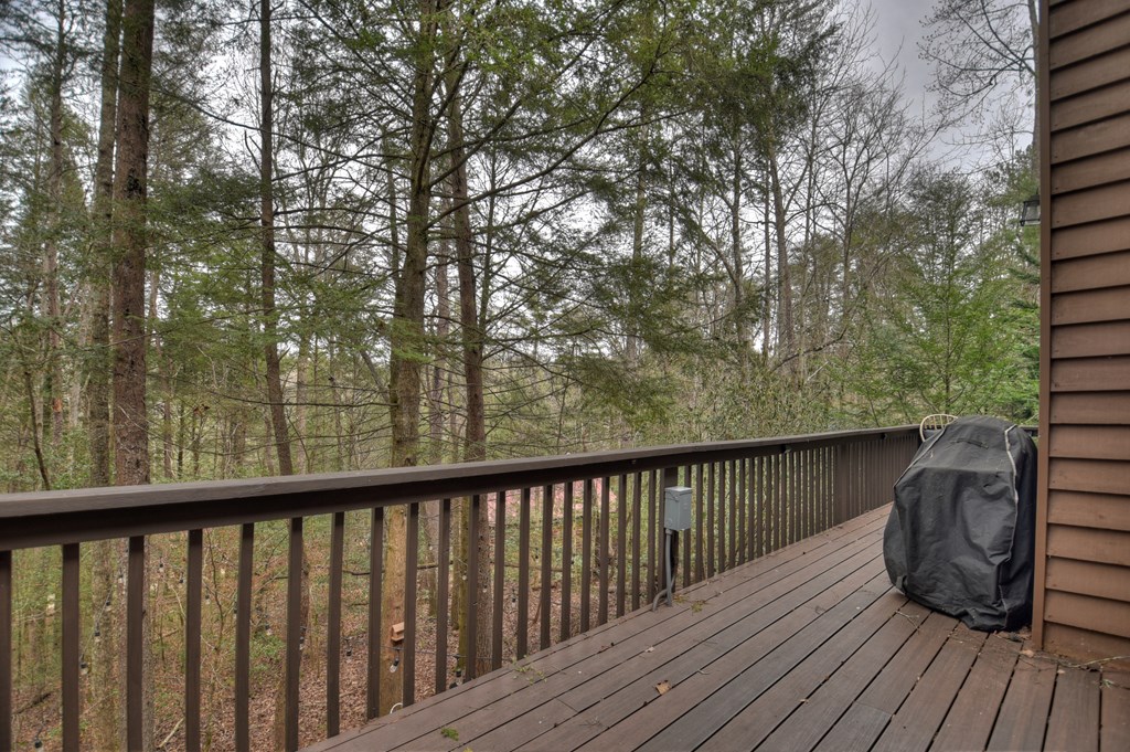 60 Icy Lane Blue Ridge, GA 30513 - Photo 42 of 44