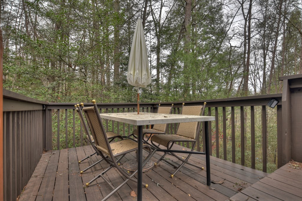 60 Icy Lane Blue Ridge, GA 30513 - Photo 43 of 44