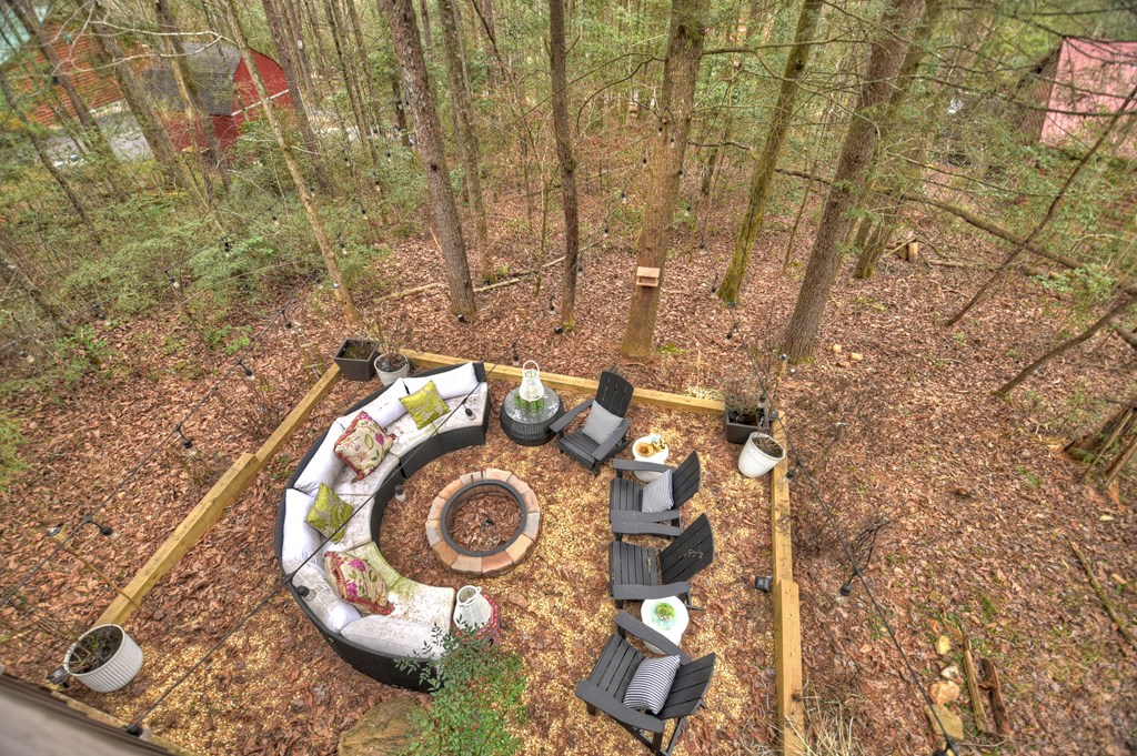 60 Icy Lane Blue Ridge, GA 30513 - Photo 44 of 44