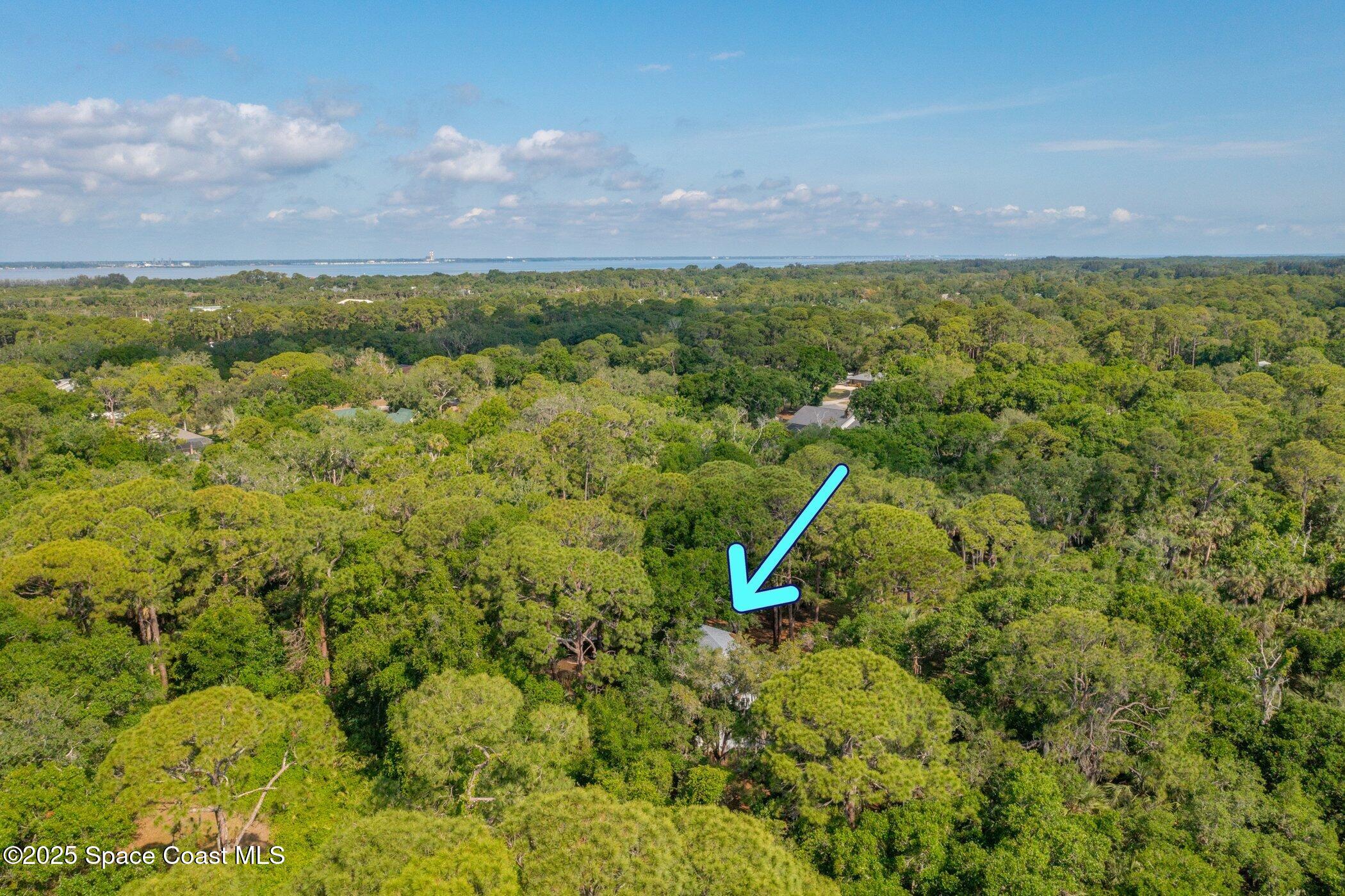630 Chase Hammock Road Merritt Island, FL 32953 - Photo 34 of 37 a view of a lake with a mountain