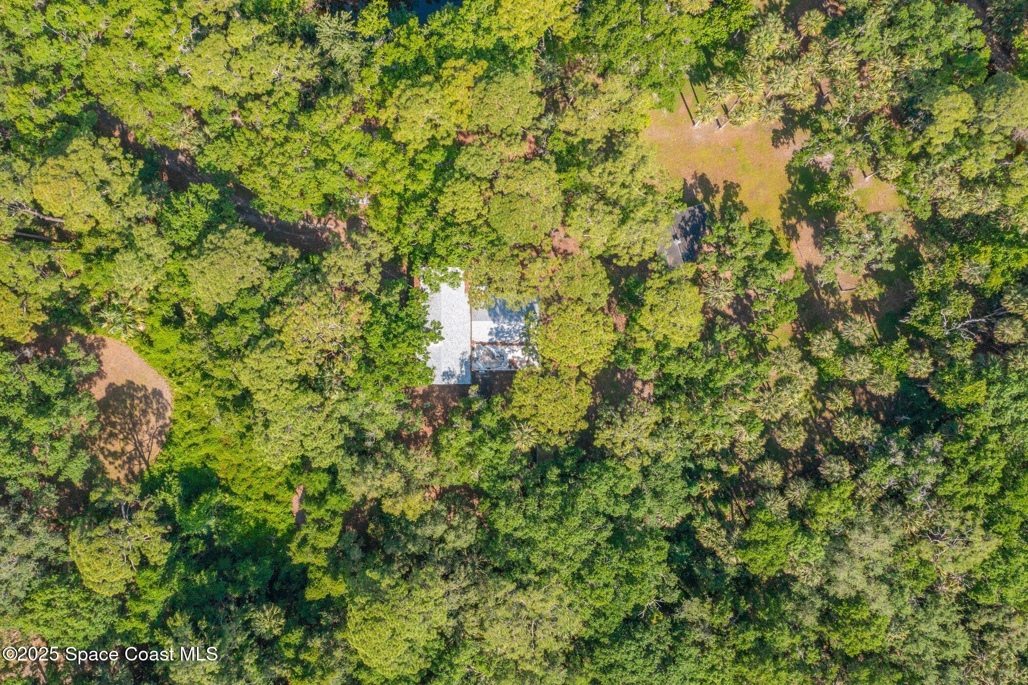 630 Chase Hammock Road Merritt Island, FL 32953 - Photo 36 of 37 a view of a tree with a tree