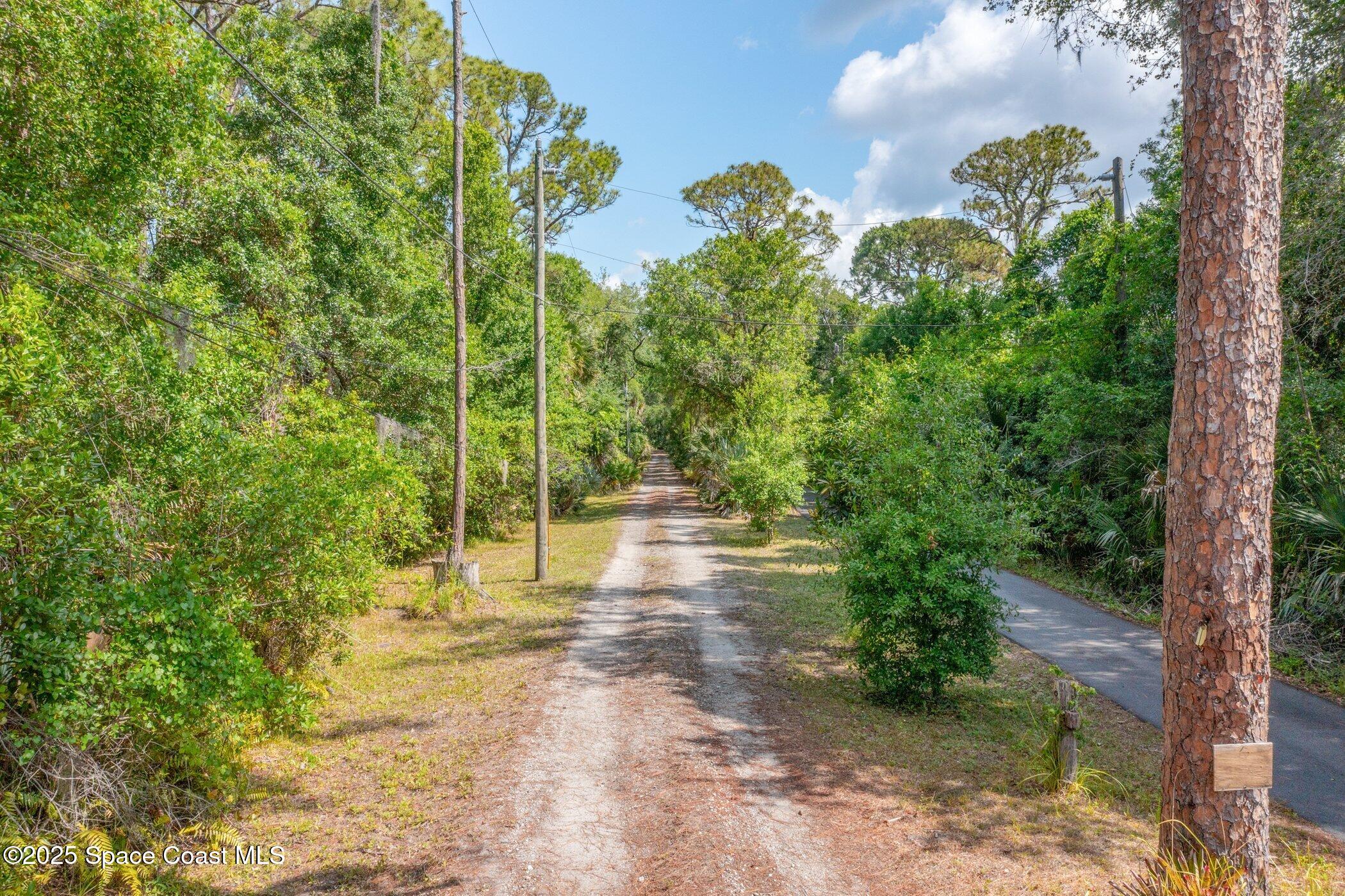 630 Chase Hammock Road Merritt Island, FL 32953 - Photo 37 of 37 a view of a yard with plants and large trees