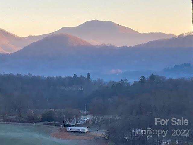 525 Higher Ground Ridge Waynesville, NC 28785 - Photo 44 of 48 Gallery Image 44