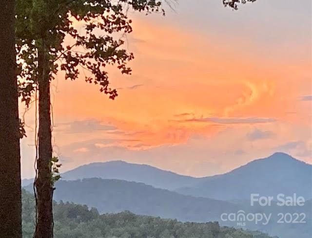 525 Higher Ground Ridge Waynesville, NC 28785 - Photo 48 of 48 Gallery Image 48