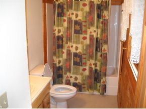445 Haw Ridge Dock Road Piney Flats, TN 37686 - Photo 12 of 14 Full Bath