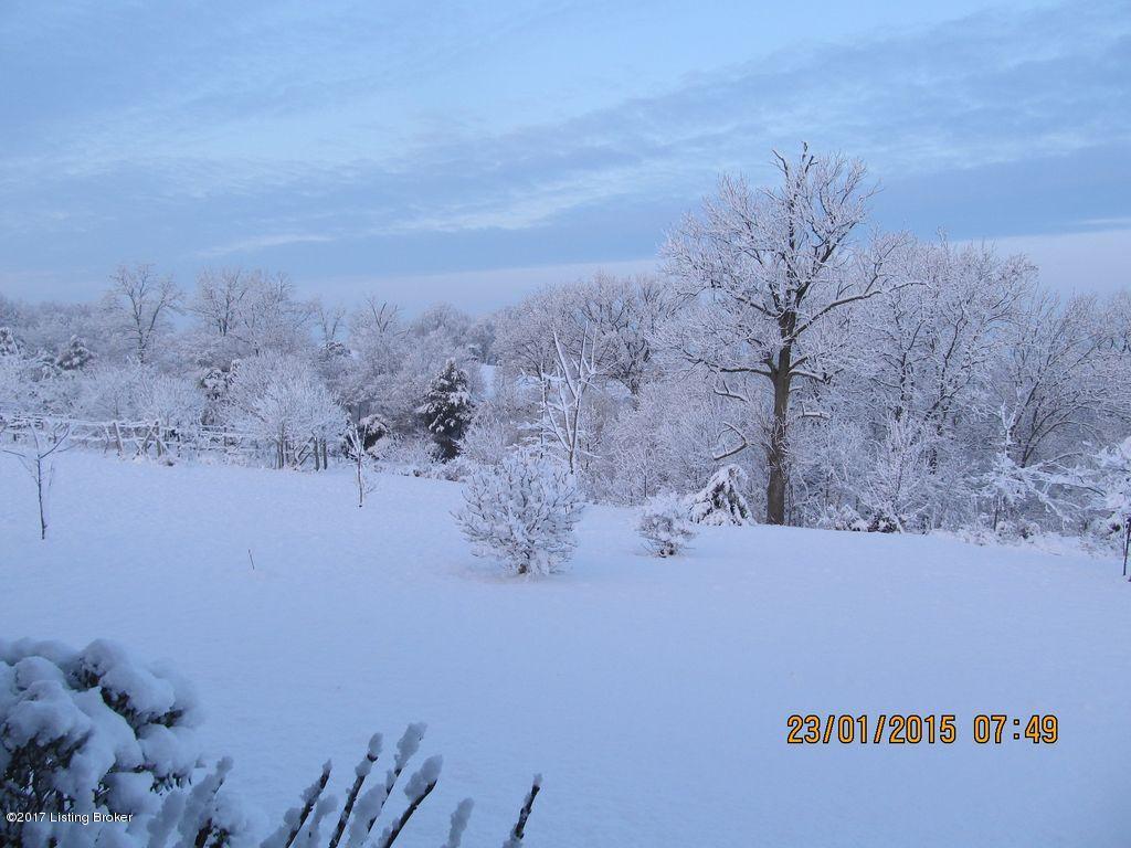 1365 Lenore Road Coxs Creek, KY 40013 - Photo 34 of 35 Snow 4