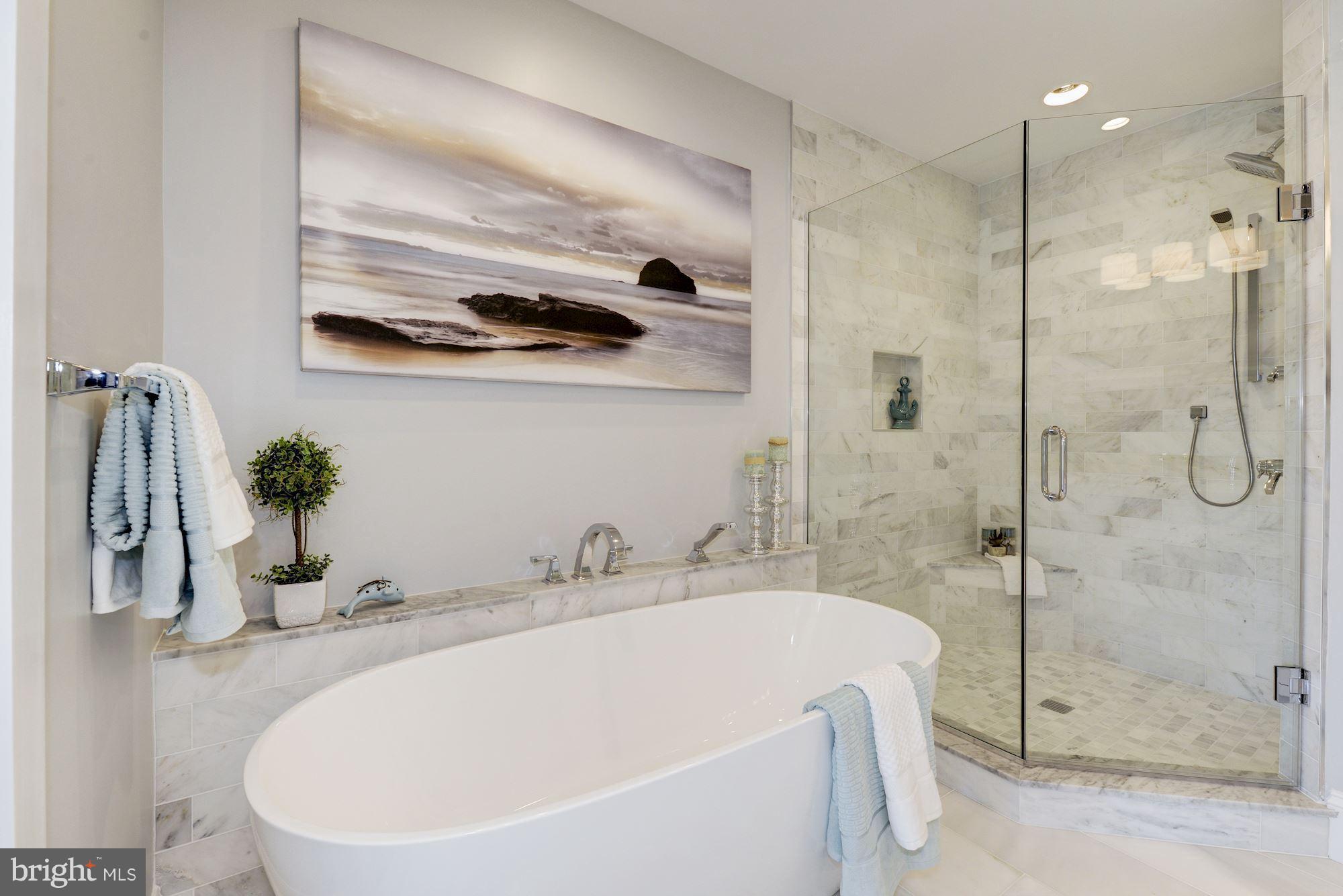 3616 T Street Northwest Washington, DC 20007 - Photo 16 of 29 MASTER BATHROOM W/ SOAKING TUB & SHOWER