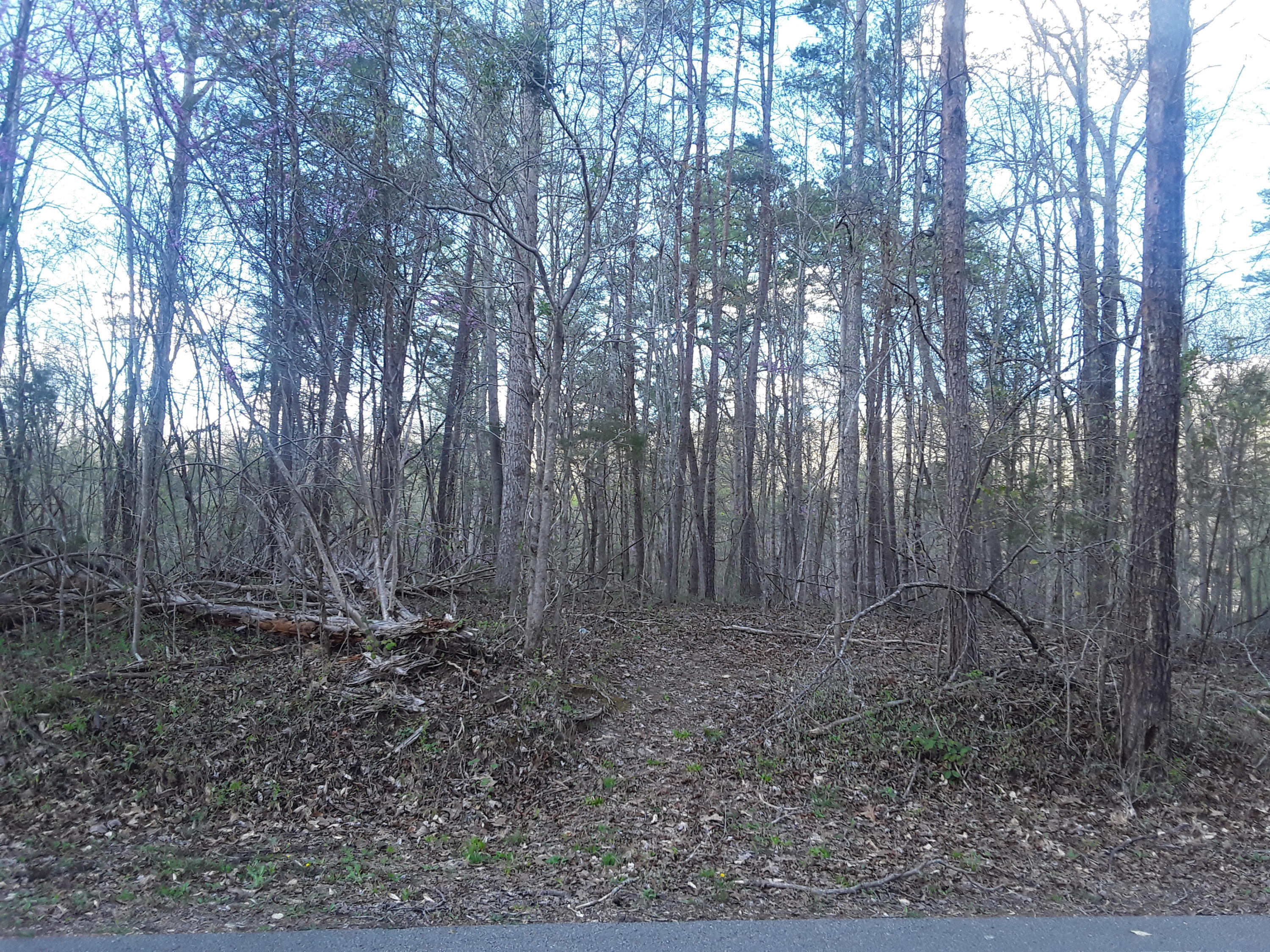 2565 Echo Point Road Bronston, KY 42518 - Photo 1 of 7 Primary Photo